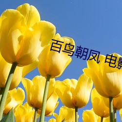 百鳥朝鳳 電影
