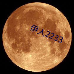 伊(yī)人2233