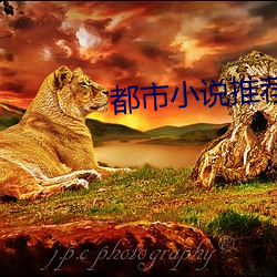 都市小說推薦