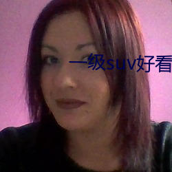 一級suv好看的國産