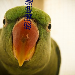 玻璃绝缘子