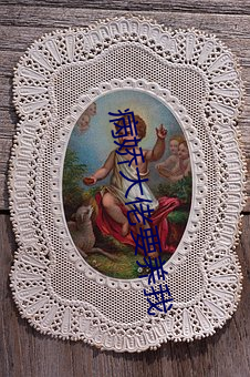 病娇大佬要养我