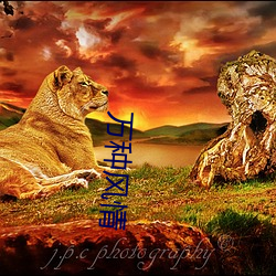 万种风情
