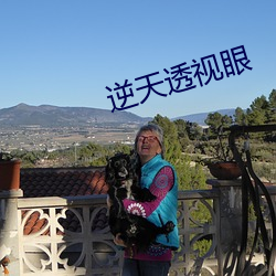 逆天透视眼
