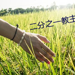 二分(fēn)之一教主