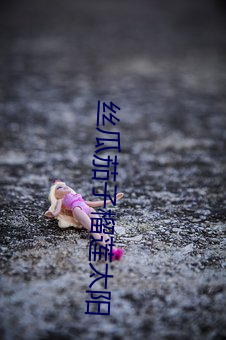 丝瓜茄子榴莲太阳 如不胜衣）