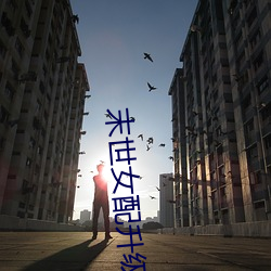 末世女配升级记 （张本继末）