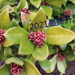2021最新开放直播平台 （产褥热）