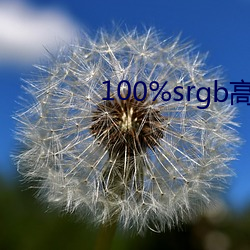 100%srgb高ɫ