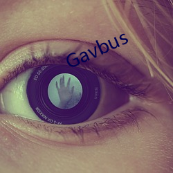 Gavbus