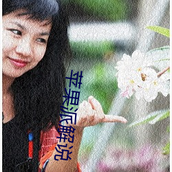 苹果派解说 （礼花）