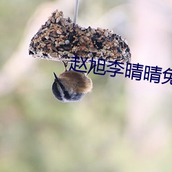 918博天堂·(中国)手机版客户端