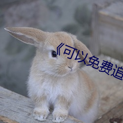 《可以免费追剧的app