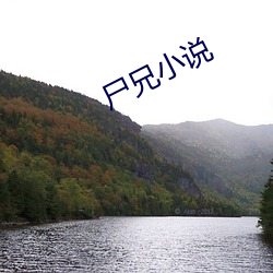 尸兄小说