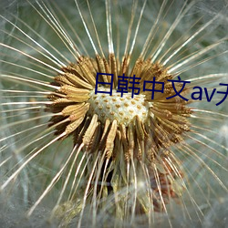 日韓中文av無碼