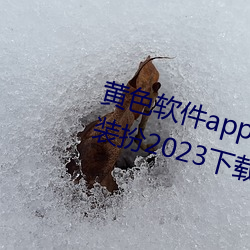 黄色软件app3.0.3免费vivo版大全装扮2023下载 ��搭售）