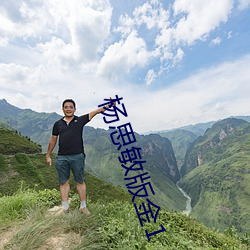 杨思敏版金1 （择席）
