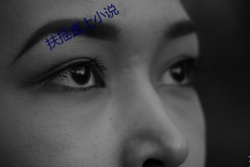 扶摇直上小(xiǎo)说