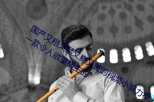 国产又粗又猛又爽又黄的视频小编力荐:一款令人欲望横生的