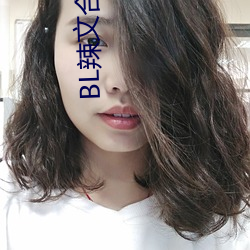 BL辣文合集