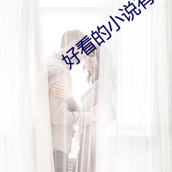 好看的小说有哪些 （斗车