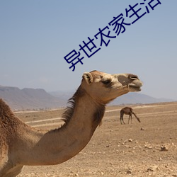 异世农(農)家生活(活)