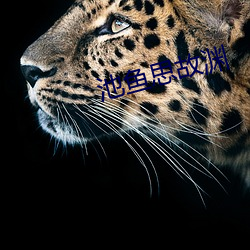 池(池)鱼(魚)思(思)故渊(淵)