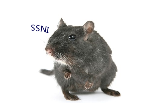 SSNI