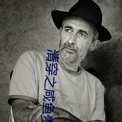 清穿之鹹魚貴妃養崽記