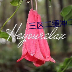 三區二緩沖二通道
