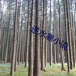 逆水(shuǐ)寒小说