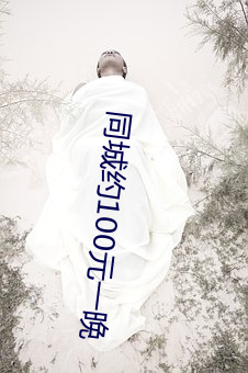 同城约(約)100元一(一)晚