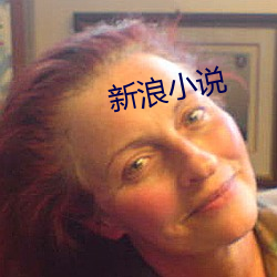 新浪小說
