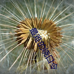 九游会登录j9入口 - 中国官方网站 | 真人游戏第一品牌