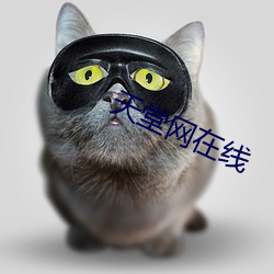天堂网在线