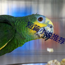短篇小(小)说推(推)荐