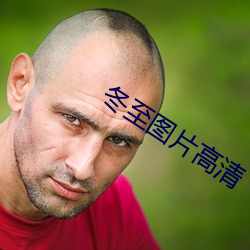 冬至图片高清