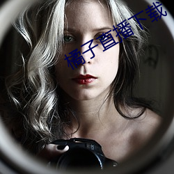 橘子直播下载