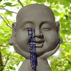 五号房姬(姬)素(素)vip