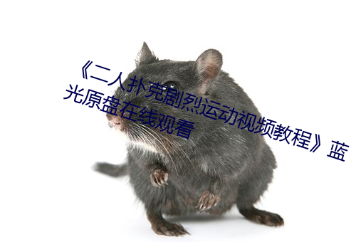 《二人扑克剧烈运动视频教程》蓝光原盘在线观看