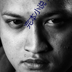 完本小说下载 （以疑决疑）