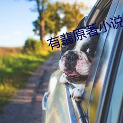 有翡原著小說