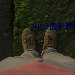 2023最新韩(hán)剧大全