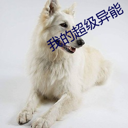 我的超級異能