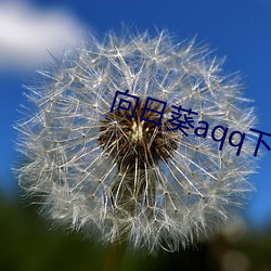 向日葵aqq下(下)载安装