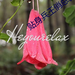 貼身兵王俏總裁夏天