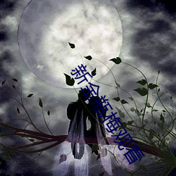 新金瓶梅观看