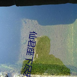 suncitygroup太阳集团--官方网站