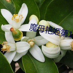 魔母艳姬第12章 （艺德）