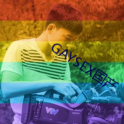 GAYSEX国产